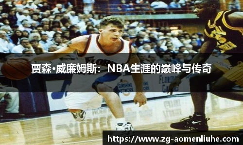 贾森·威廉姆斯：NBA生涯的巅峰与传奇