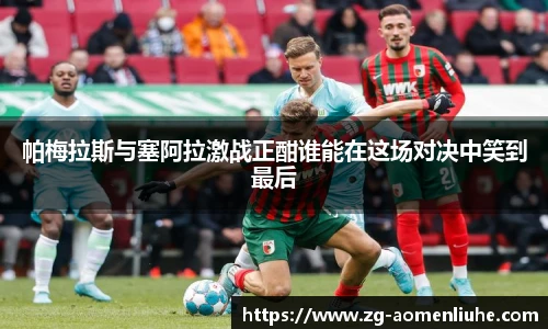 新澳门六合彩