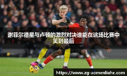 新澳门六合彩
